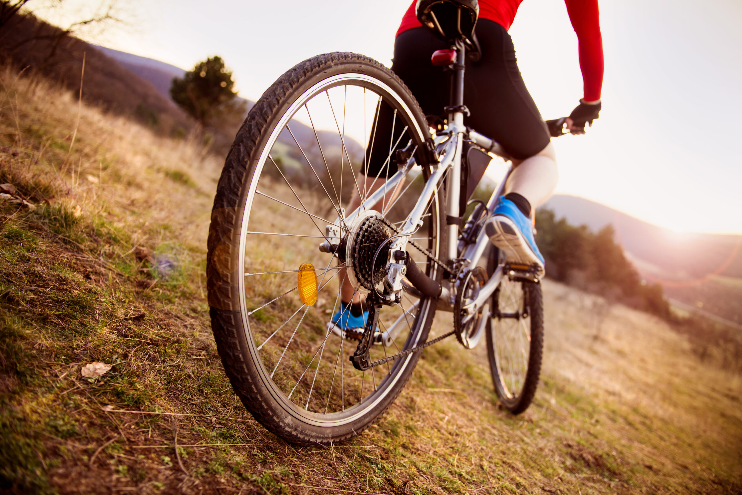 Why Do My Knees Hurt When Biking? Close-up image of Mountain biker on an incline