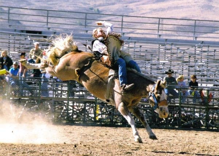 man riding a bull in a rodeo