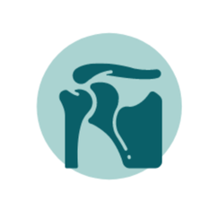 An illustrated icon of the shoulder joint, featuring a simplified outline of the humerus, scapula, and clavicle, depicted in dark teal against a light teal circular background.