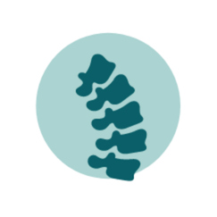 Illustration of a spine shown in turquoise blue against a light blue circular background, representing a healthcare or orthopedic theme.