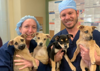 OCR team members holding puppies